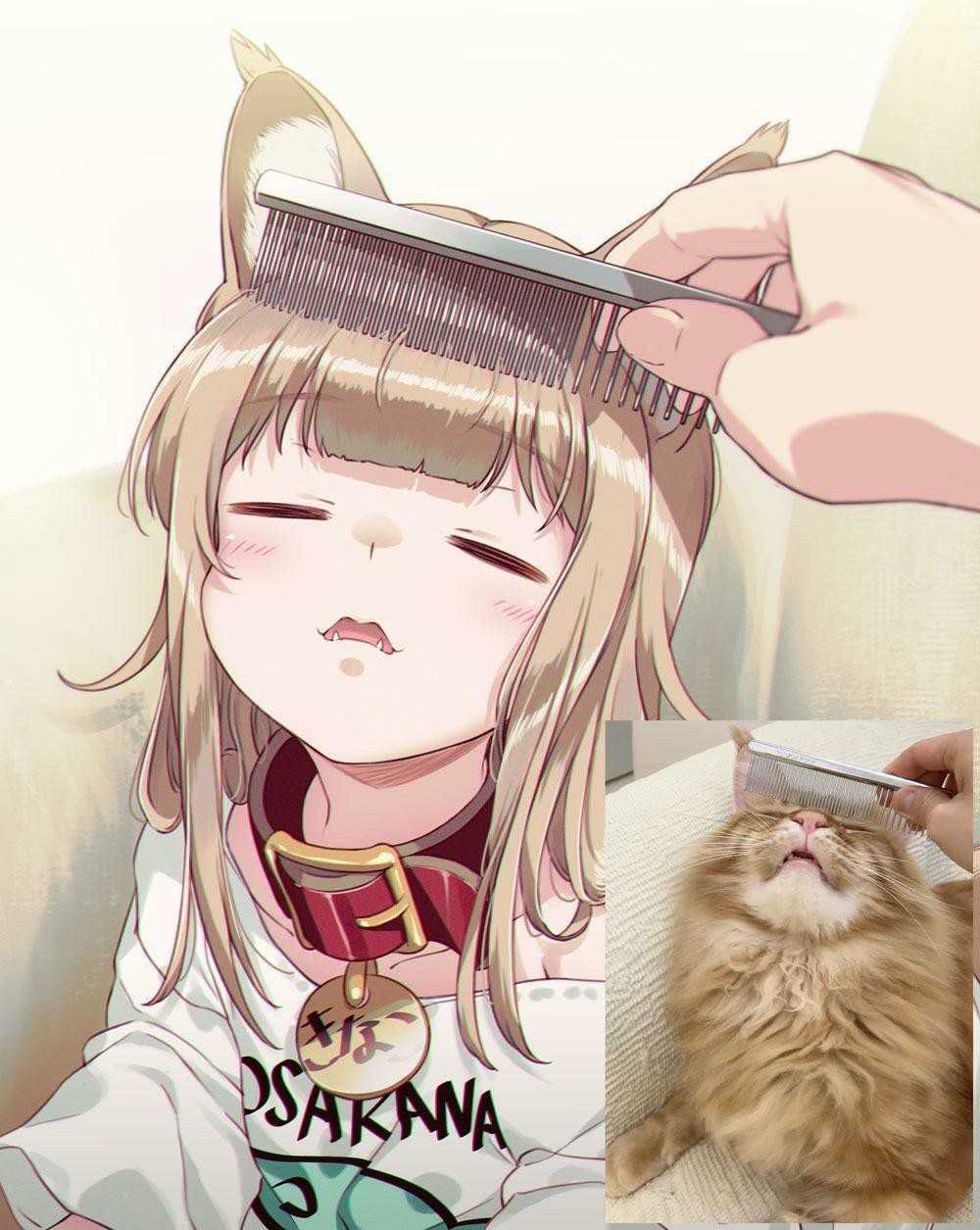 40原老师《将喵星人萝莉化》猫娘就是牠的化身!