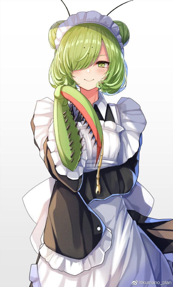万物皆可娘化,《虫子美少女》将现实中可怕的昆虫们变可爱!