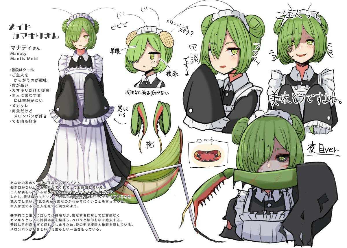 万物皆可娘化,《虫子美少女》将现实中可怕的昆虫们变可爱!
