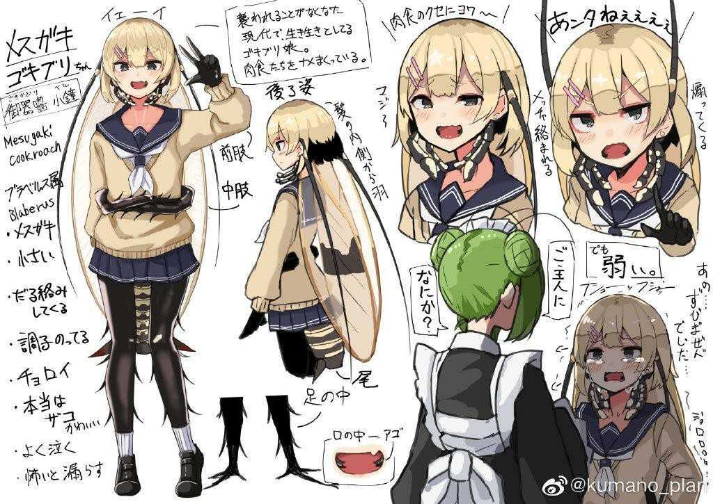 万物皆可娘化,《虫子美少女》将现实中可怕的昆虫们变可爱!