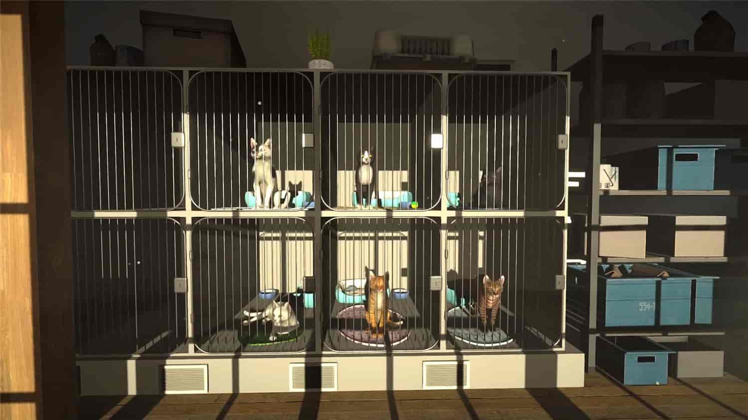冒牌猫谜/Copycat-5 冒牌猫谜/Copycat-5