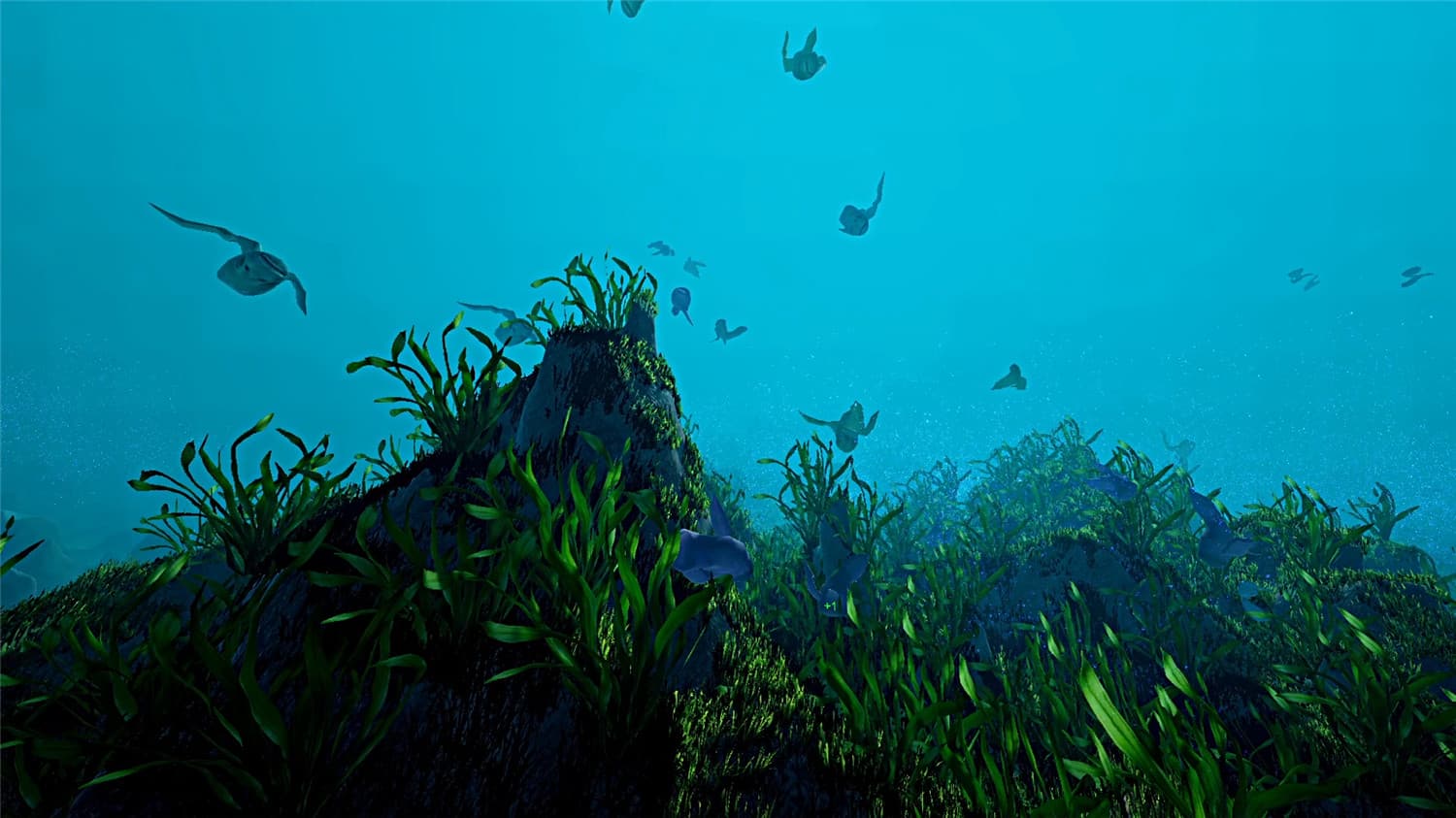 《生态系统/Ecosystem》v1.0.0|容量3.3GB|官方简体中文-6 《生态系统/Ecosystem》v1.0.0|容量3.3GB|官方简体中文-6
