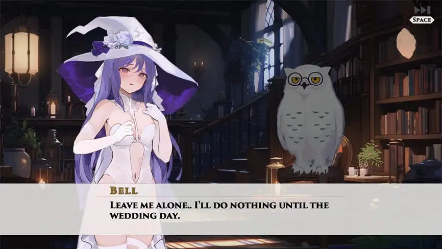 婚礼女巫/Wedding Witch 更新V1.01c版