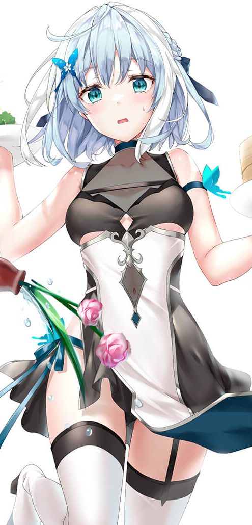 【pixiv精选】美少女100萌图