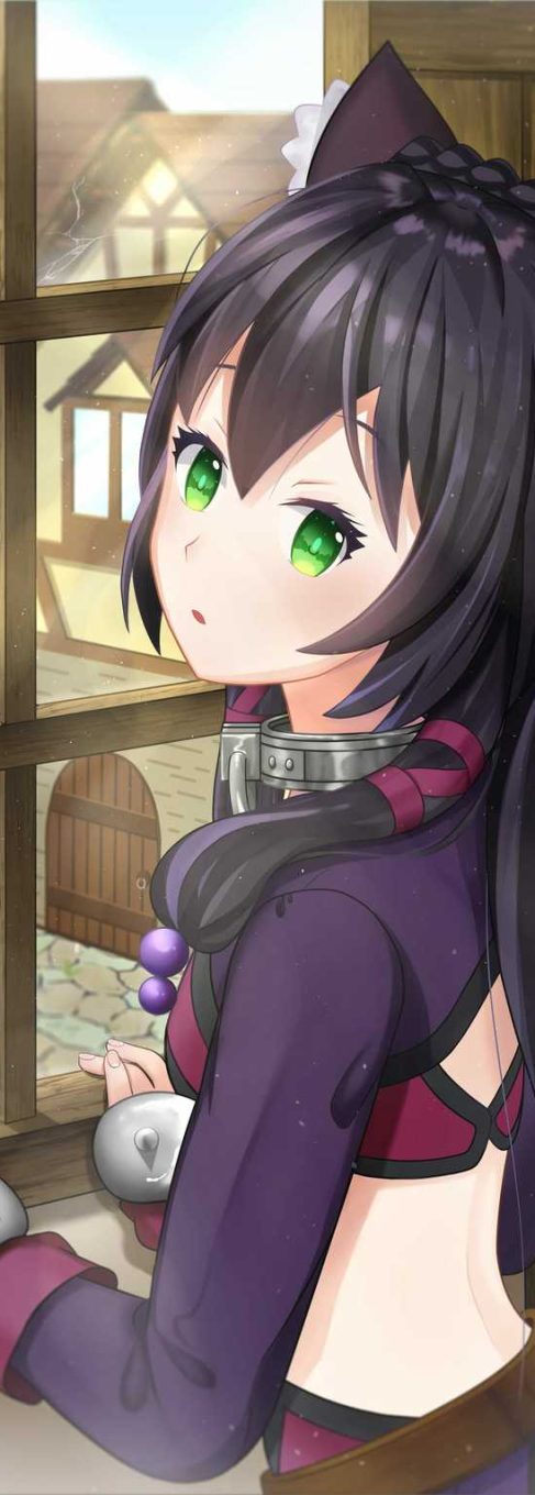 【P站精选】穿越后随手就是两个萌妹《异世界魔王与召唤少女的奴隶魔术》高清壁纸特辑！