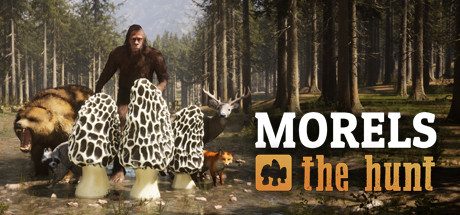 羊肚菌:狩猎游戏_Morels: The Hunt