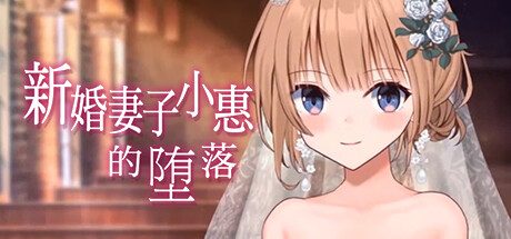 新婚妻子小惠的堕落（官方中文）