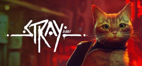 迷失/Stray