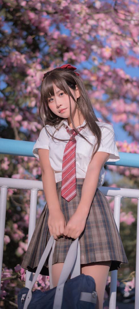 萌芽儿o0 异木棉花