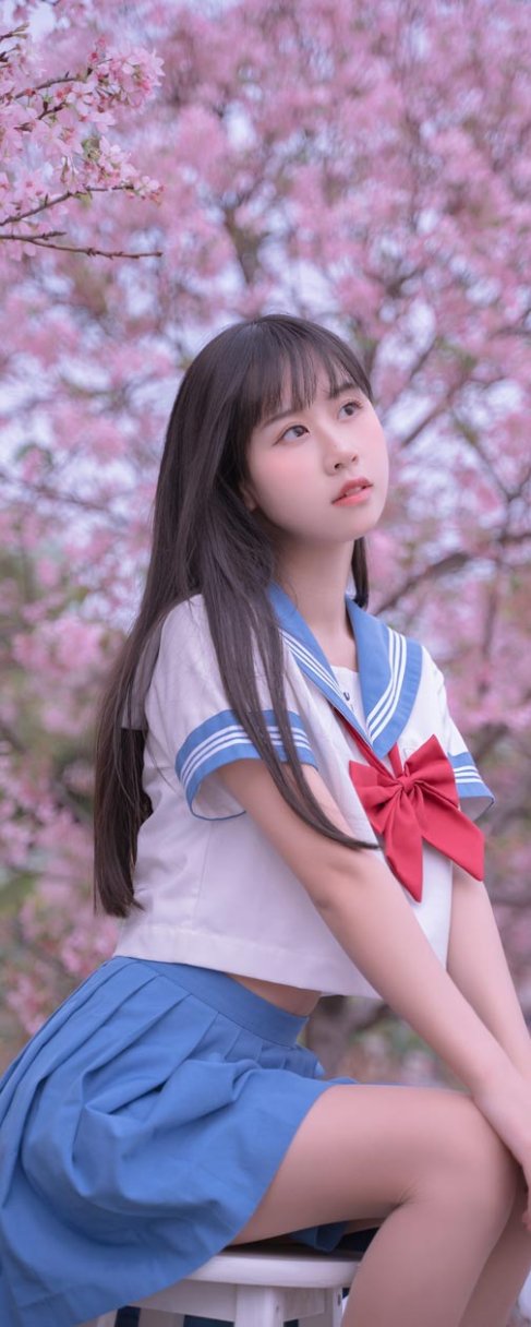 萌芽儿o0 樱花jk