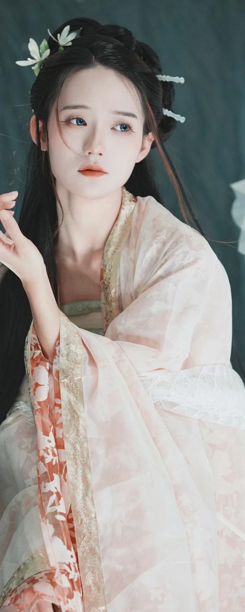 兔子Zzz不吃胡萝卜 寄明月