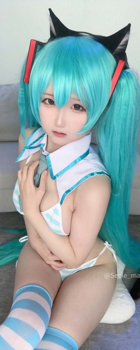 Seele麦麦 初音