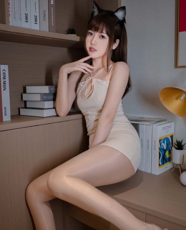 不呆猫 家教猫老师