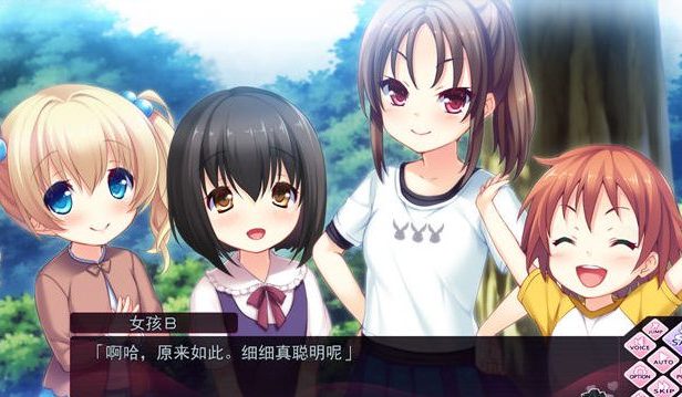 姐嫁四重奏 v1.01 精翻汉化版 ADV游戏+全CG存档+全CV