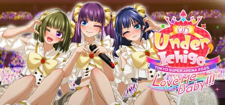 偶像演唱会 v1.04 官方中文版 3D休闲互动游戏