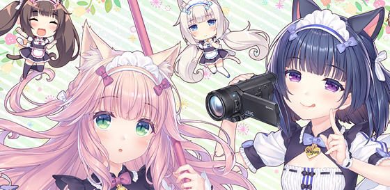 猫娘乐园 After:真实的家庭 官方中文版 ADV游戏+全CG存档