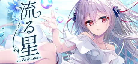 流星 -a wish star-/流る星 -a wish star- 冒险游戏