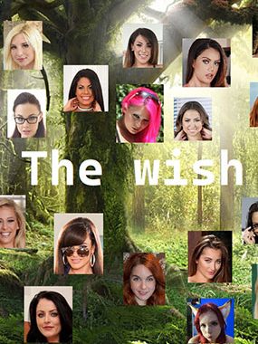 愿望 The Wish v0.41 汉化版