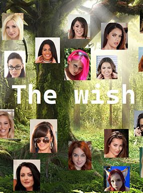 愿望 The Wish v0.41 汉化版